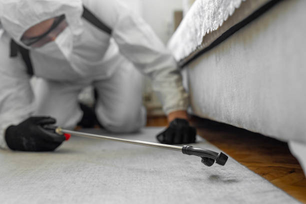 Professional Termite Control technician working in Combine, TX